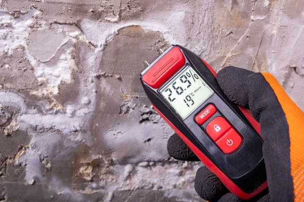 Best Health and Safety Mold Remediation in Wellington, UT
